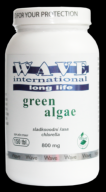 Green algae